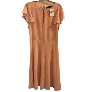 Ralph Lauren Women's Dress Pastel Powder Pink Ruffle Flounce Sleeve Size 4 New